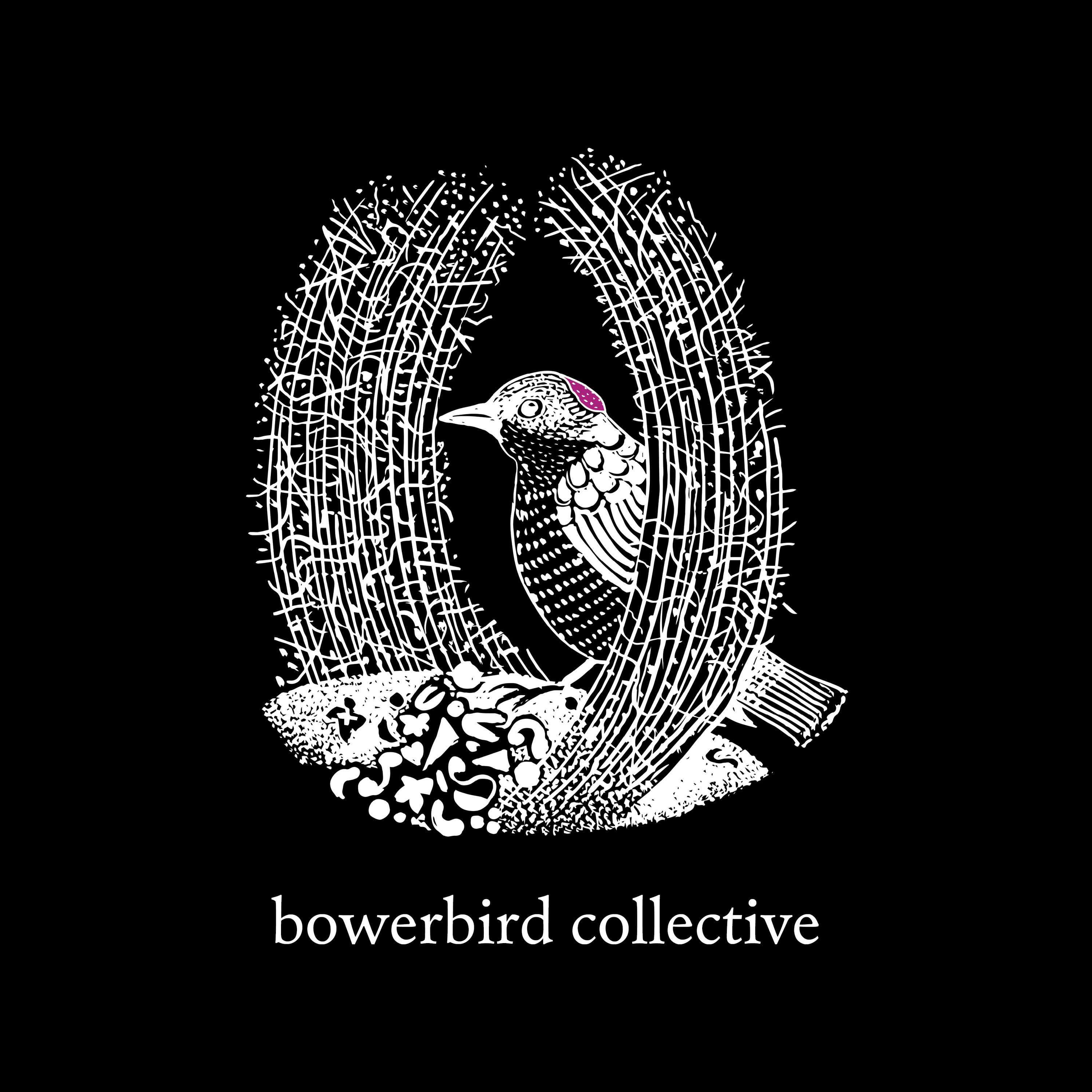 Bowerbird Logo