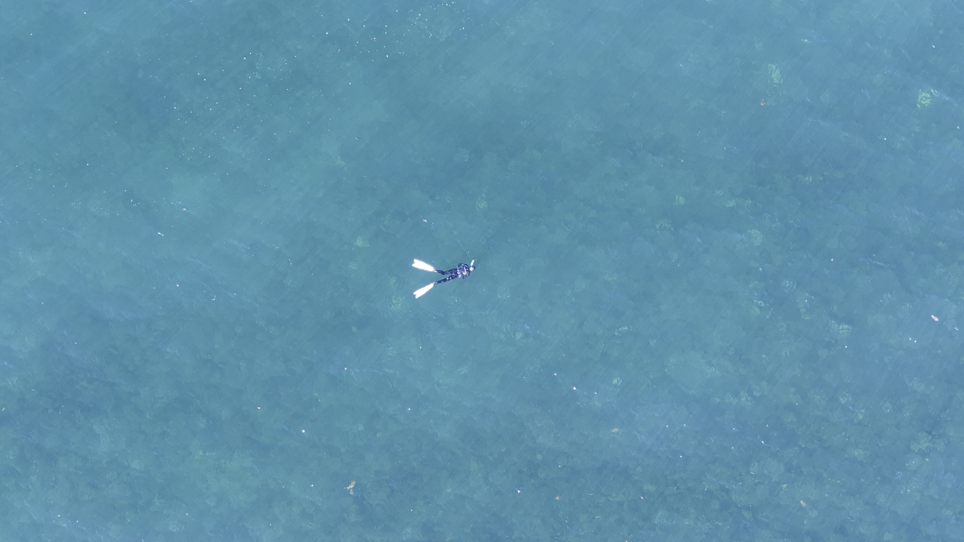 Sculpture by Mandy Quadrio