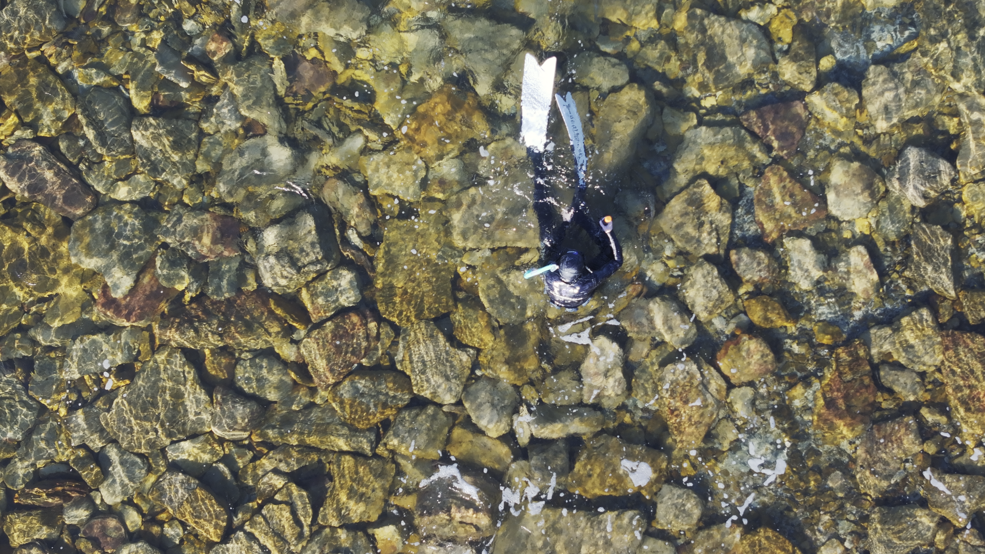 Sculpture by Mandy Quadrio